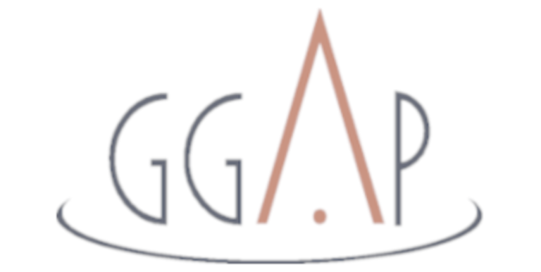 inaccessibilita ggap 20 23 giugno 2025